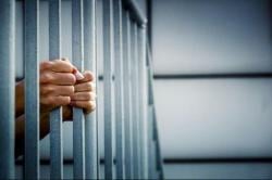 Polda Sulsel Ungkap 2.231 Kasus Narkoba Sepanjang Tahun Ini, 3.815 Tersangka Ditangkap