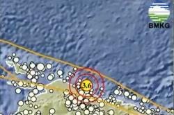 Gempa Hari Ini Magnitudo 3,6 Guncang Sarmi Papua