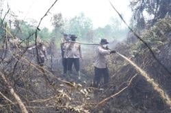 Jenderal Turun Gunung Pimpin Langsung Pemadaman Karhutla di Kampar Riau<