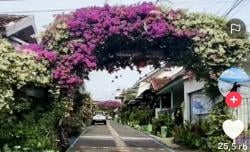 Viral Ketua RT Hias Jalan Perumahan Penuh Bunga, Kini Jadi Ajang Swafoto