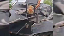 Nissan X-Trail Misterius Bawa 6 Tas Ekstasi Kecelakaan di Tol Lampung, Pengemudi Hilang<