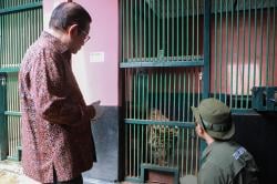 Pramono Cek Ragunan usai Viral Harimau Kurus: Sekarang Sudah Besar, Sehat