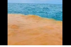 Viral Air Laut 2 Warna di Pantai Baron Gunungkidul, Netizen Heboh!