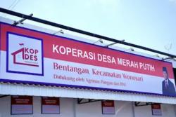 DJP Catat 95% Koperasi Merah Putih Sudah Punya NPWP