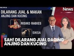 Gubernur Pramono Larang Perdagangan Daging Anjing-Kucing di Jakarta,  Begini Aturannya