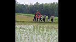 Kelelahan Dikejar Polisi, Pelaku Curanmor Ditangkap di Tengah Sawah<