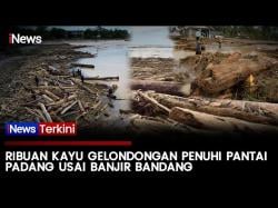Banjir Bandang Kirim Ribuan Kayu ke Pantai Parkit Padang, Aktivitas Nelayan Terganggu