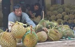 Malaysia Bakal Klaim Durian atau Nanas sebagai Buah Nasional