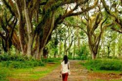 3 Tempat Wisata di Banyuwangi yang Sedang Hits, TikTokers dan Traveler Wajib Coba <