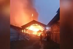 40.000 Ekor Ayam Mati saat Kebakaran di Lamongan, Kerugian Rp3,4 Miliar<