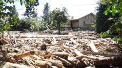 Heboh Kayu Gelondongan Terseret Banjir Dikaitkan Illegal Logging, Kini Diselidiki Bareskrim<