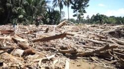 Penampakan Kayu Gelondongan Menumpuk di Permukiman Warga Pidie Jaya Terbawa Banjir Bandang<
