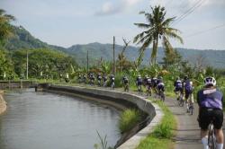 Maybank Cycling Series Il Festino 2025 Pecahkan Rekor! 750 Pesepeda dari 5 Negara Serbu Yogyakarta