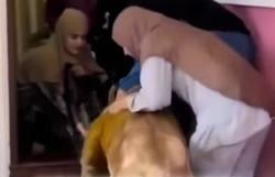 Viral, 2 Muslimah Berhijab Selamatkan Singa dari Banjir Thailand