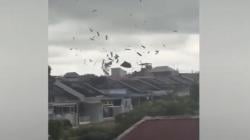 Mencekam! Detik-Detik Puting Beliung Terjang Baubau, Atap Rumah Beterbangan