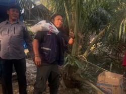 Praz Teguh Ungkap Aras Napal di Sumut Terisolir, Tak Ada Bantuan Sama Sekali!