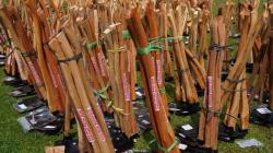 Polda Riau Kirim Peralatan ke Aceh dan Sumbar untuk Bersihkan Lokasi Terdampak Banjir<