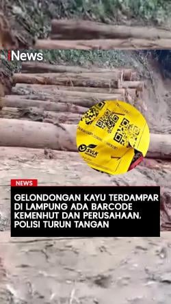Gelondongan Kayu yang Terdampar di Lampung ada Barcode Kemenhut dan Perusahaan Polisi Turun Tangan
