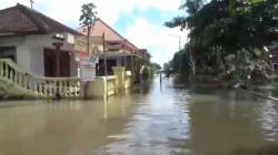 Sungai Curah Ampel Meluap Rendam Ratusan Rumah di Jember, Aktivitas Warga Lumpuh<