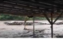 Banjir Luapan Sungai Bedadung Jember Rusak Jembatan dan Hanyutkan Atap Rumah