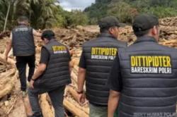 Kasus Kayu Gelondongan Terbawa Banjir di Sumut, Bareskrim Periksa 17 Orang<