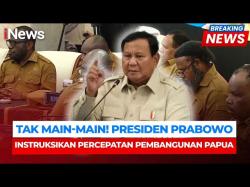 Prabowo Dorong Percepatan Pembangunan Papua, Ketahanan Pangan Jadi Prioritas