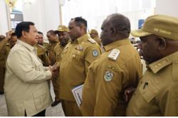 Prabowo Dorong Swasembada Energi di Papua: Tenaga Surya dan Air untuk Daerah Terpencil<