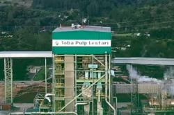 Siapa Pemilik PT Toba Pulp yang Diminta Prabowo Diperiksa terkait Bencana Sumatra?