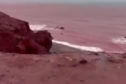 Heboh Laut di Iran Berubah Menjadi Merah Darah, Ini Sebabnya
