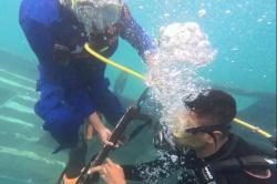 Perburuan Rusa Ilegal di Pulau Komodo Digagalkan, Patroli Gabungan Sempat Terlibat Kontak Senjata<