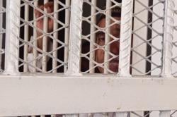 Nasib Petani di Madiun, Pelihara Landak Jawa Berujung Dijebloskan ke Penjara<