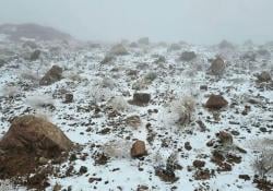 Masya Allah! Begini Penampakan Arab Saudi Diselimuti Salju