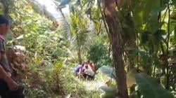 Mobil Rombongan Wisatawan Terjun ke Jurang di Trenggalek, Diduga akibat Rem Blong<