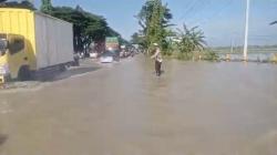 Banjir Kali Plalangan Kembali Rendam Jalan Nasional Lamongan, Lalu Lintas Tersendat<