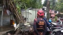 Angin Kencang Terjang Kotim, Atap Sekolah Terbang dan Pohon Tumbang