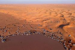 Setelah Salju, Warga Saudi Dikejutkan dengan Gurun Tandus Berubah Jadi Danau