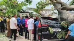 Pohon Besar Tumbang Timpa 2 Mobil di Hotel Bandar Lampung, 1 Orang Terluka Parah