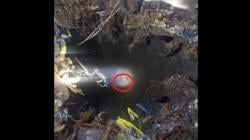 Lolos dari Maut, Pria di Bangkalan Ditemukan Lemas Terjebak 2 Hari di Sumur Tua