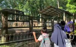 Taman Margasatwa Ragunan Tambah Jam Operasional saat Libur Nataru