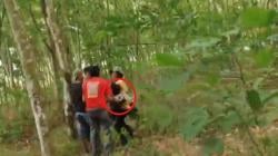 Tragis! Kepala Desa di Lampung Timur Tewas Terinjak Kawanan Gajah Liar