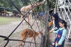 Libur Tahun Baru, Ribuan Wisatawan Padati Kebun Binatang Surabaya<