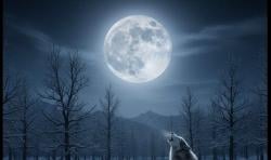 Keajaiban Alam, Fenomena Wolf Moon Bakal Hiasi Langit Indonesia 3 Januari 2026