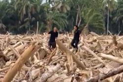 Desa di Aceh Tamiang Masih Tertimbun Ribuan Ton Kayu Gelondongan Setinggi 5 Meter<