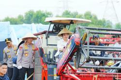 Kapolri Bareng Titiek Soeharto Panen Raya Jagung di Bekasi, Kawal Program Prabowo