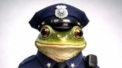 Tilang Gunakan Teknologi AI, Kocak Foto Polisi Berubah Jadi Katak