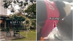 Terungkap! Ini Alasan Kafe Eyang Bungkus Kucing dalam Karung dan Dibuang Hidup-Hidup