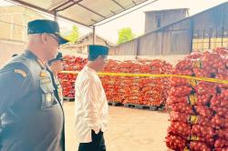 Bawang Bombai Selundupan Mengandung Bakteri, Mentan: Tak Ada Ampun!