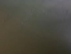 5 Penambang Emas Liar di Gunung Pongkor Bogor Keracunan Gas, Alami Sesak Napas-Pusing