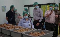 JCCI Studi Banding Program MBG, Kagum Penerima Manfaat Tembus 60 Juta 