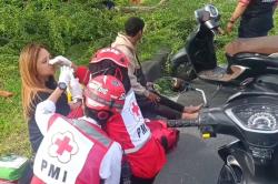 Pohon Tumbang di Surabaya Timpa Pengendara Motor, Penumpang Luka di Kepala<